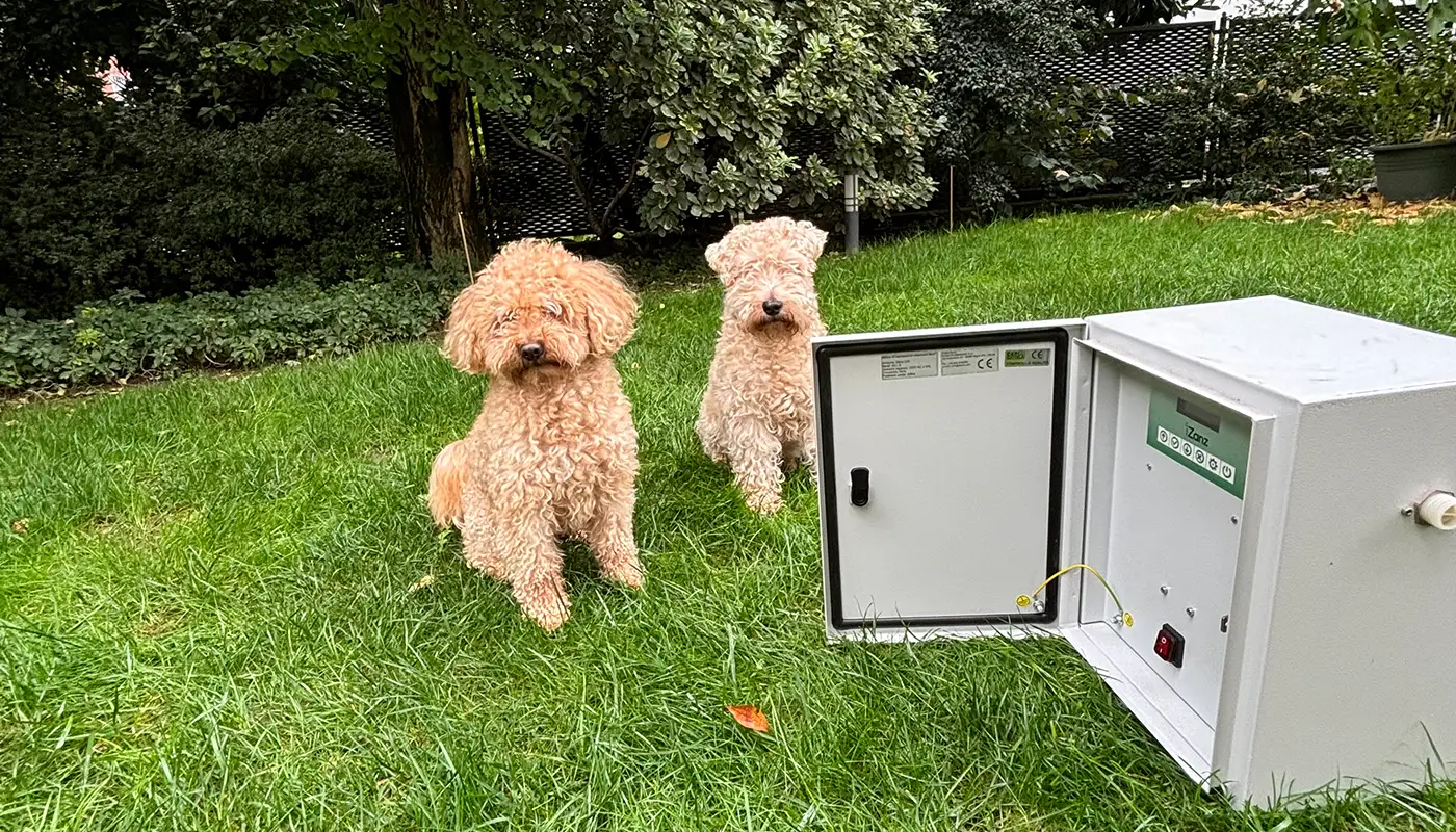 iZanz giardino privato cani